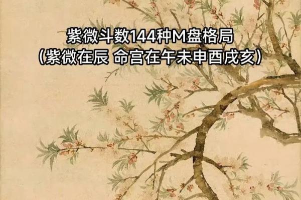 2025年2月24日寅时女命紫微斗数全解盘