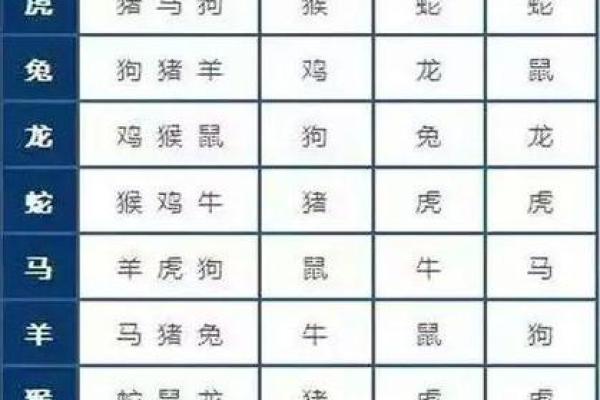 二八追求五迟疑是什么生肖(二八定打一生肖)