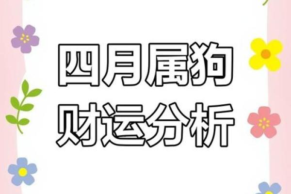 属狗人2025年最佳财位 1982属狗走大运在哪一年 属狗人2025年最佳财位 1982属狗走大运在哪一年