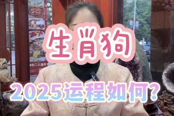 2025年属狗人每月运势_2025年属狗人每月运势完整版