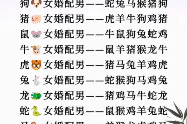 属兔女人最佳婚配 属兔女最佳婚配