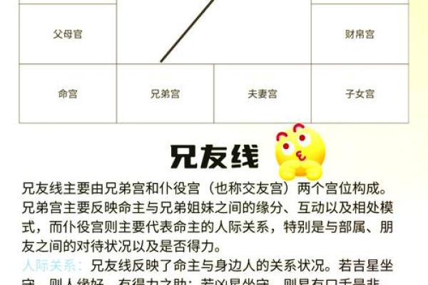 生辰八字查询指南快速掌握命运密码