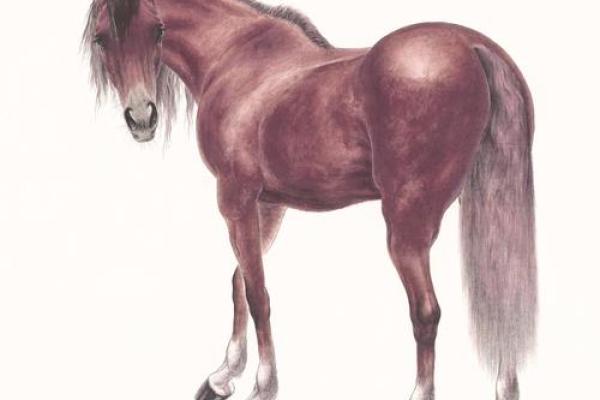 90年马2025年的运势 90年属马人2025年运势全解析事业财运与健康运预测