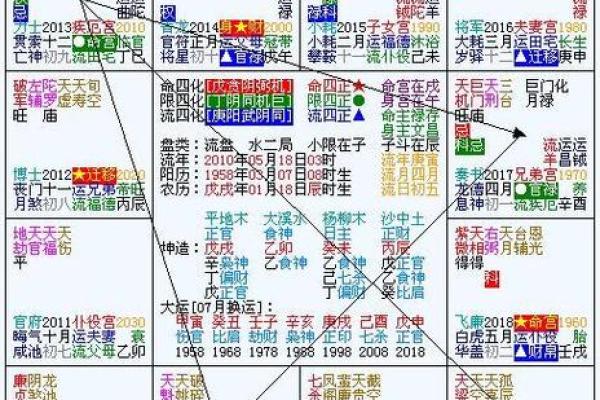 2025年2月19日寅时女命紫微斗数全解盘