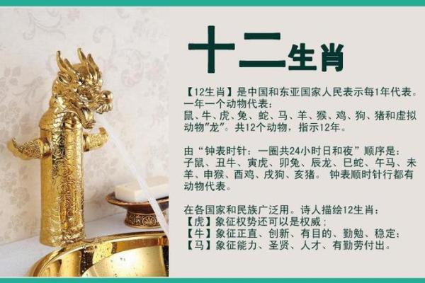 一比高下是什么生肖(一比高低指什么生肖)