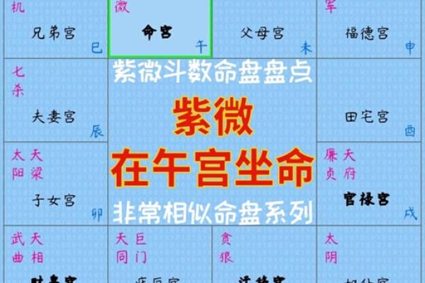 2025年3月12日寅时男命紫微斗数全解盘 2025年3月12日寅时男命紫微斗数全解盘