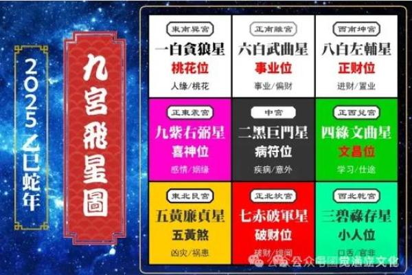 2025马年运势全解析生肖马全年运程完整指南
