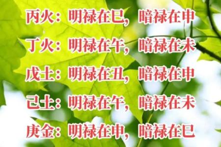 夫妻宫有禄字解析禄字在夫妻宫的含义与影响