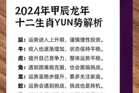 2024年90年属马人运势全解析财运事业健康运程预测