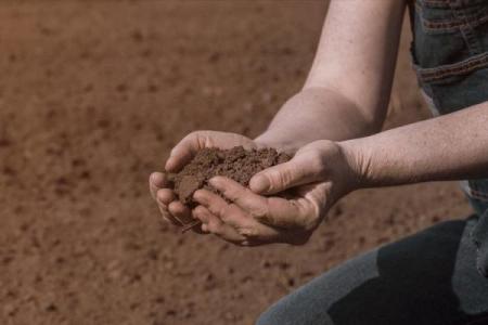 明天适不适合动土