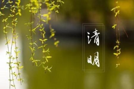 4号清明节能上坟吗