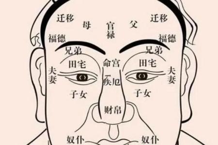 福德宫天相什么意思_福德宫天相解析命理中的吉凶预示与运势影响