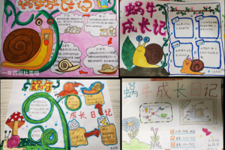 豪言空话打一个生肖(豪言空话打一个生肖)