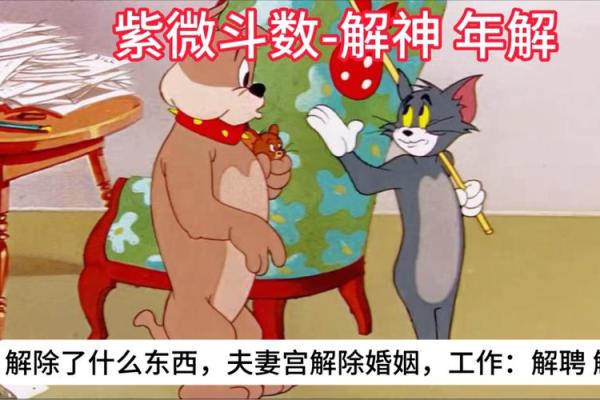 夫妻宫解神含义解析揭秘命理中的婚姻奥秘