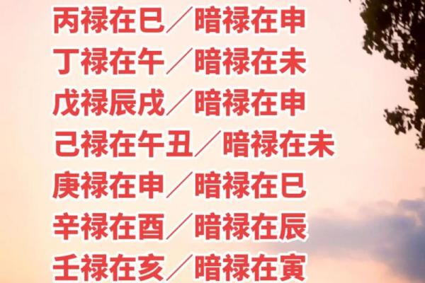 什么叫生辰八字哪八个字_生辰八字解析哪八个字决定你的命运