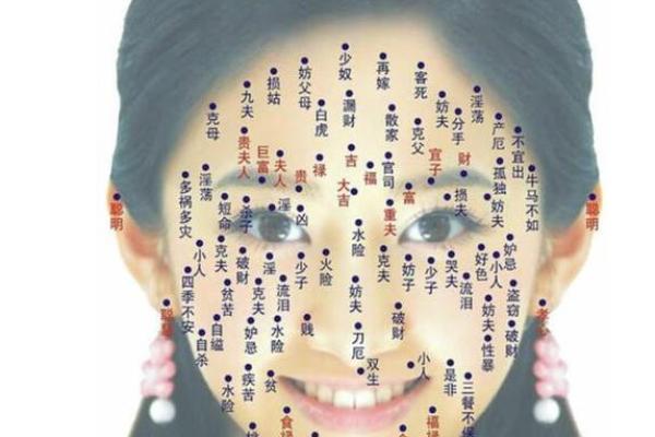 夫妻宫偏财的女人 夫妻宫偏财的女人啥意思