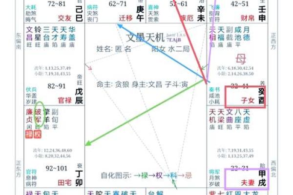 2025年2月25日丑时女命紫微斗数全解盘