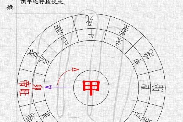 四柱八字十二长生如何推算_十二长生在四柱中的用法