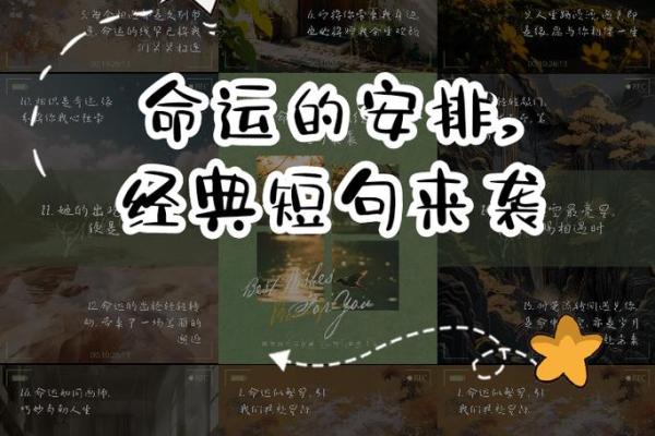 什么缘分让我们相遇揭秘命运的神奇安排