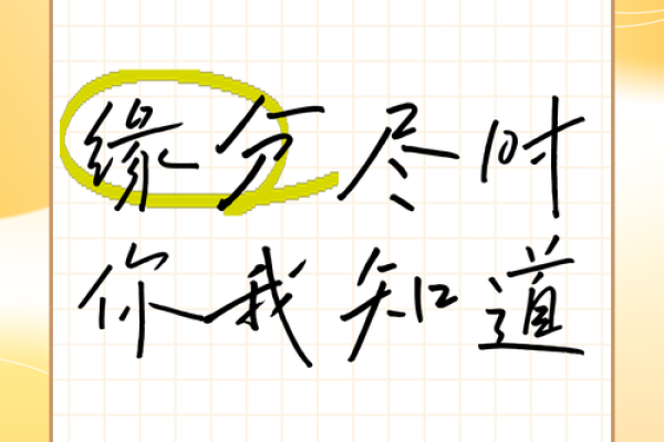 缘分的 缘分的诗句