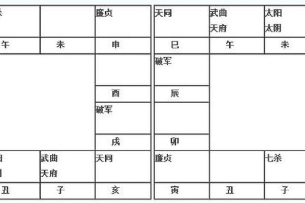 2025年3月14日子时男命紫微斗数全解盘