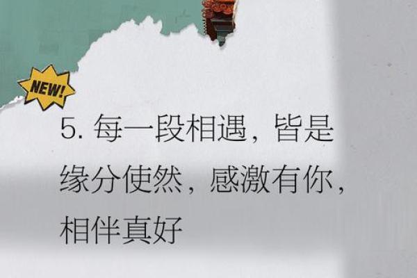 相遇即是缘分_相遇即是缘分完整版