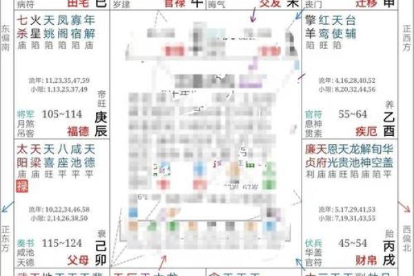 2025年3月21日子时男命紫微斗数全解盘