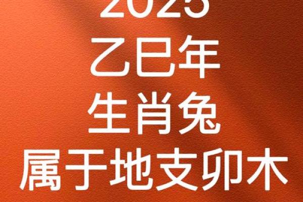 属兔2025运势及运程每月运程_属兔2025运势及运程每月运程豆瓣 属兔2025运势及运程每月运程_属兔2025运势及运程每月运程豆瓣