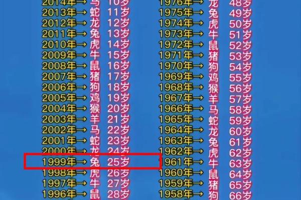 2025属龙的今年多大了啊_2025年虚岁年龄表