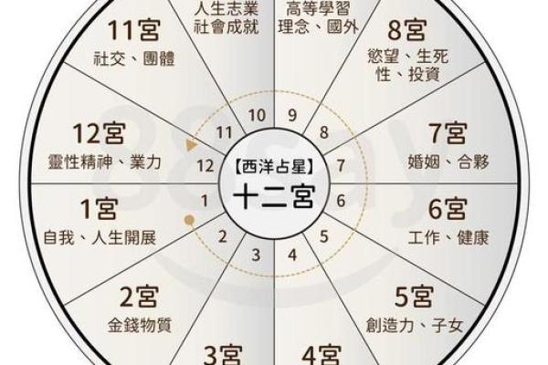 生辰八字在线查询_生辰八字在线查询快速了解你的命运密码