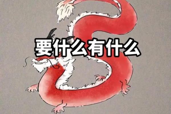 00年属龙多大 00年属龙多大年龄