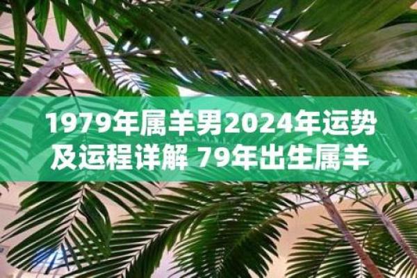 79年属羊男2025年的运势_1979年属羊2025年怎么样