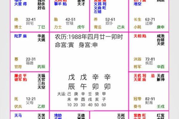 2025年3月22日丑时女命紫微斗数全解盘 2025年3月22日丑时女命紫微斗数全解盘
