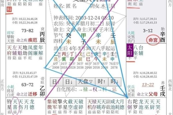 2025年3月22日丑时女命紫微斗数全解盘 2025年3月22日丑时女命紫微斗数全解盘