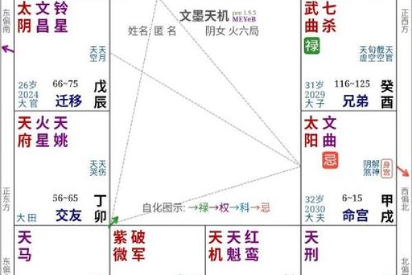 2025年3月19日子时女命紫微斗数全解盘