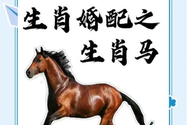 2002年属马的姻缘在哪年_2002年属马姻缘最佳年份解析与配对指南