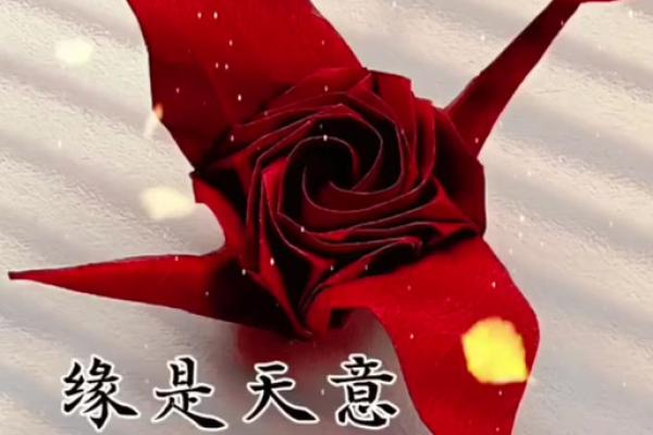 没有缘分_没有缘分是什么意思