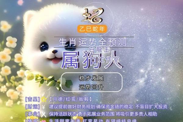 2025年的属狗运势大全_属狗2025年运势及运程每月运程狗