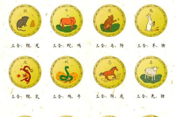 九出十三归是什么生肖(九出十三归是什么生肖动物)