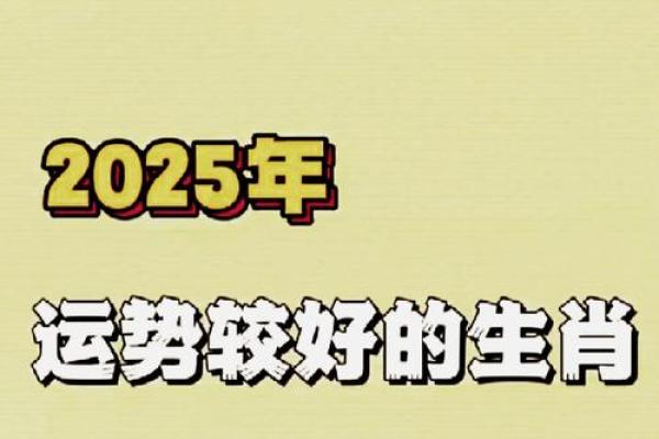 2025年属鸡的运势和财运 2025年属鸡运气