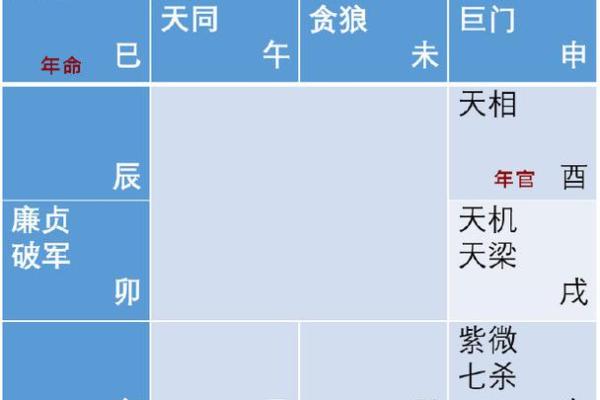 2025年3月20日丑时女命紫微斗数全解盘