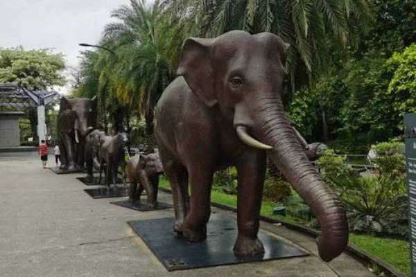 云游天下是什么生肖(云游天下是什么生肖动物图片及名称介绍)