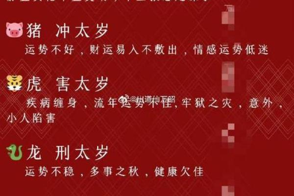 无后为大是什么生肖(无后为大是什么生肖最佳答案)