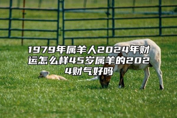 1979属羊2025运势_79年羊2025年运势