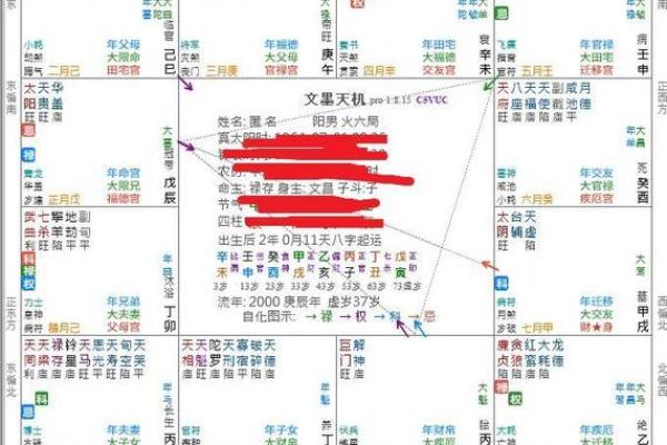 福德宫禄存 福德宫禄存解析财运与福气的关键所在
