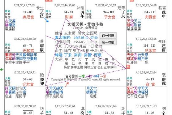 2025年2月19日丑时男命紫微斗数全解盘