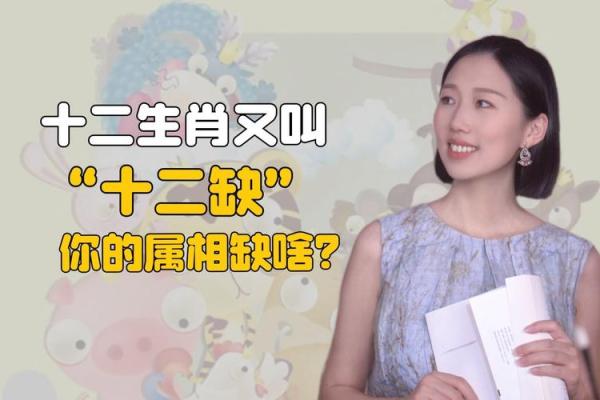 豪门酒肉打一生肖(豪门酒肉打一生肖什么生肖)