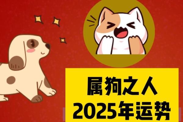 1994属狗2025年运势 1994属狗2025年运势如何