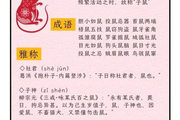 一眼关七代表什么生肖(一眼关七望清底细是什么生肖) 一眼关七代表什么生肖(一眼关七望清底细是什么生肖)