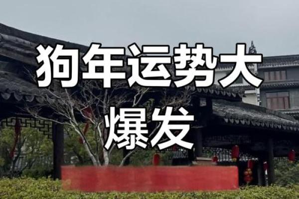 1970狗男2025年运势 1970年属狗男2025年运势详解财运事业感情全解析